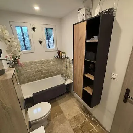 Maison 5 Piscine ,jacuzzi 3*
