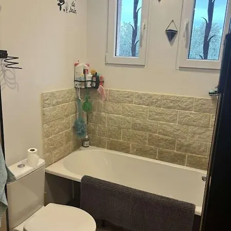 Maison 5 Piscine ,jacuzzi 3*