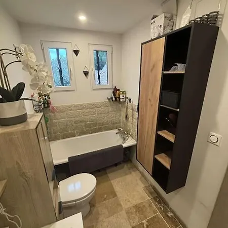 Maison 5 Piscine ,jacuzzi 3*